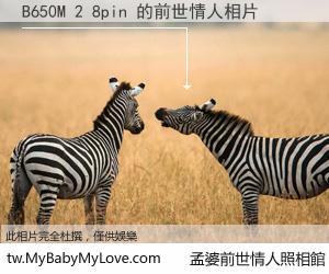 B650M 2 8pin 的前世情人