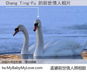 Chang Ting-Fu 的前世情人