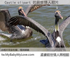 Castle clipart 的前世情人