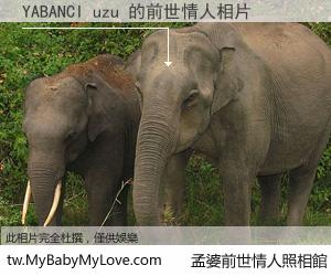 YABANCI uzu 的前世情人