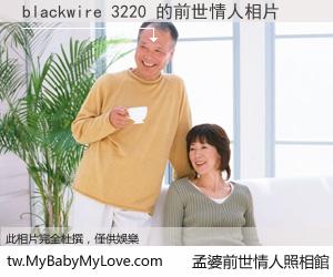 blackwire 3220 的前世情人
