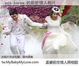 ccs korea 的前世情人