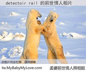 detectoir rail 的前世情人