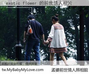 exotic flower 的前世情人
