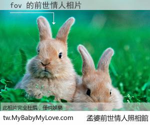 fov 的前世情人