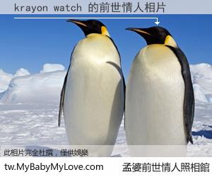 krayon watch 的前世情人