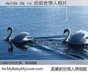 molde de ro 的前世情人