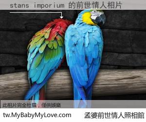 stans imporium 的前世情人
