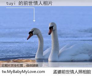 tuyi 的前世情人