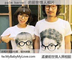 palm kernel 的前世情人