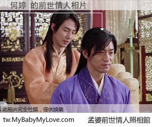 何婷 的前世情人