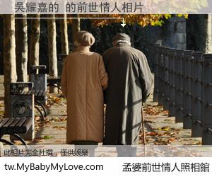 吳耀嘉的 的前世情人
