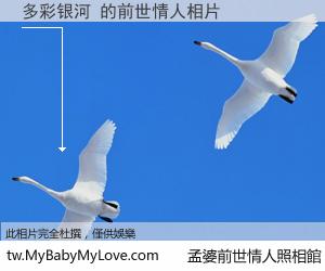 多彩银河 的前世情人