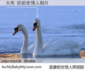 大馬 的前世情人