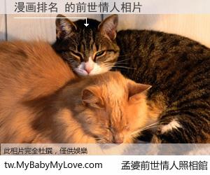 漫画排名 的前世情人