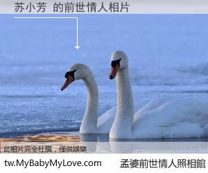 苏小芳 的前世情人