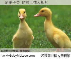 范姜子芸 的前世情人