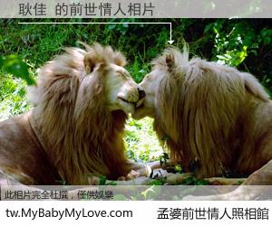 耿佳 的前世情人