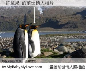 許顰果 的前世情人