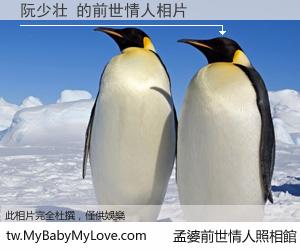 阮少壮 的前世情人