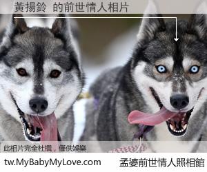 黃揚鈴 的前世情人