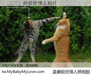 고려장 的前世情人