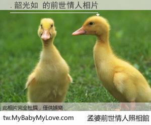 .韶光如 的前世情人