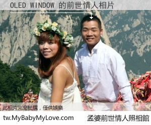 OLED WINDOW 的前世情人