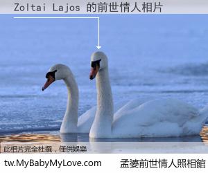 Zoltai Lajos 的前世情人