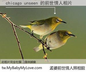 chicago unseen 的前世情人