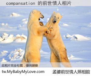 compansation 的前世情人