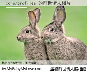 core/profiles 的前世情人