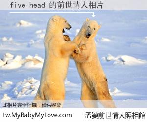 five head 的前世情人