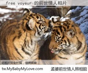 free voyeur 的前世情人