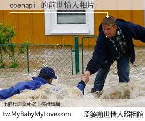 openapi 的前世情人