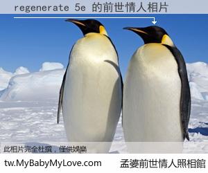 regenerate 5e 的前世情人