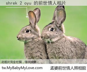 shrek 2 oyu 的前世情人