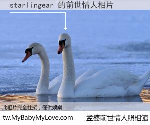 starlingear 的前世情人