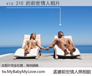 viz 210 的前世情人