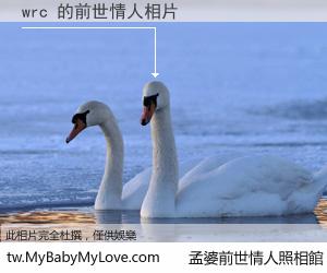 wrc 的前世情人
