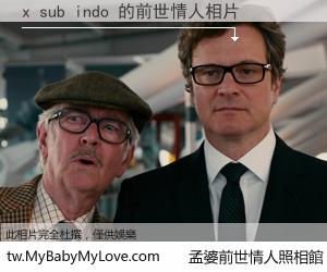 x sub indo 的前世情人