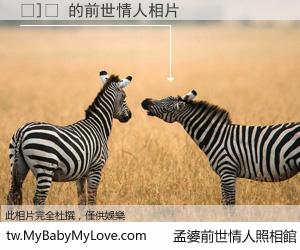 �]ۦ 的前世情人