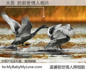 大邑 的前世情人