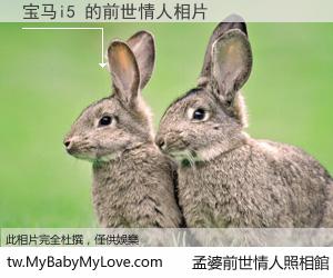 宝马i5 的前世情人