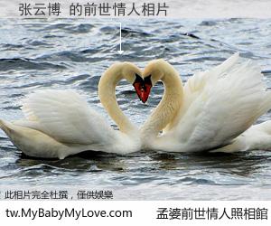 张云博 的前世情人