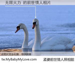 无限火力 的前世情人