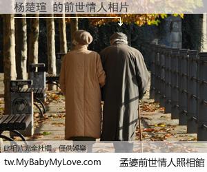 杨楚瑄 的前世情人