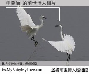 申冀治 的前世情人
