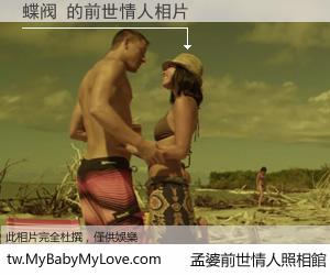 蝶阀 的前世情人