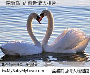 陳致浩 的前世情人